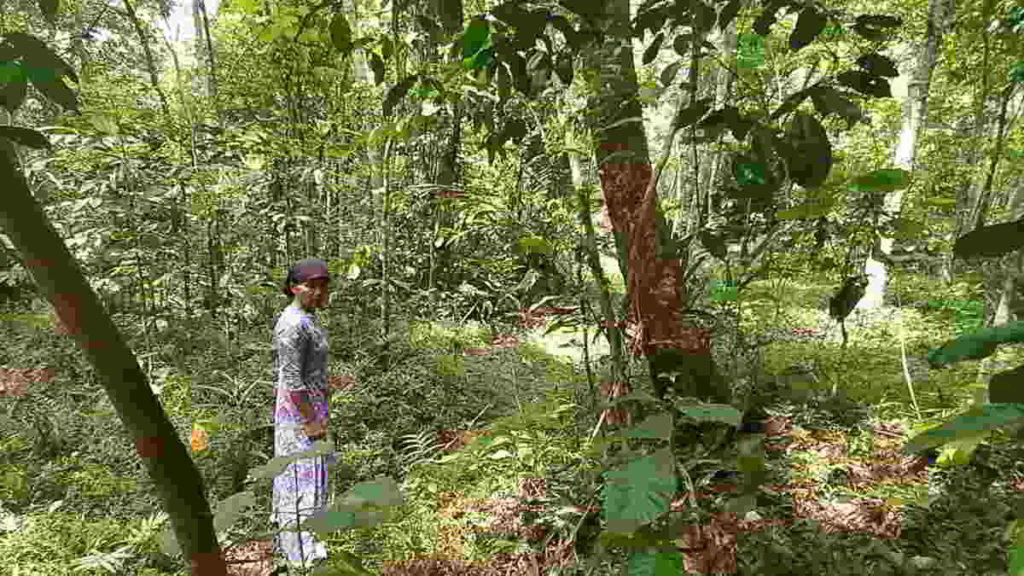 Geger Penampakan Hewan Misterius di Benteng Ciamis