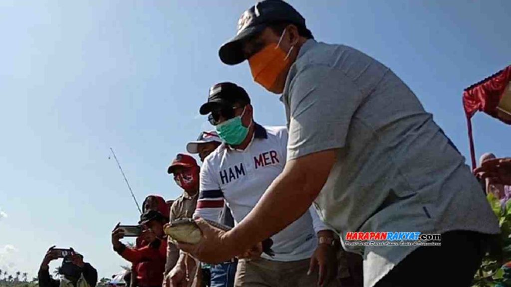 Mancing Mania