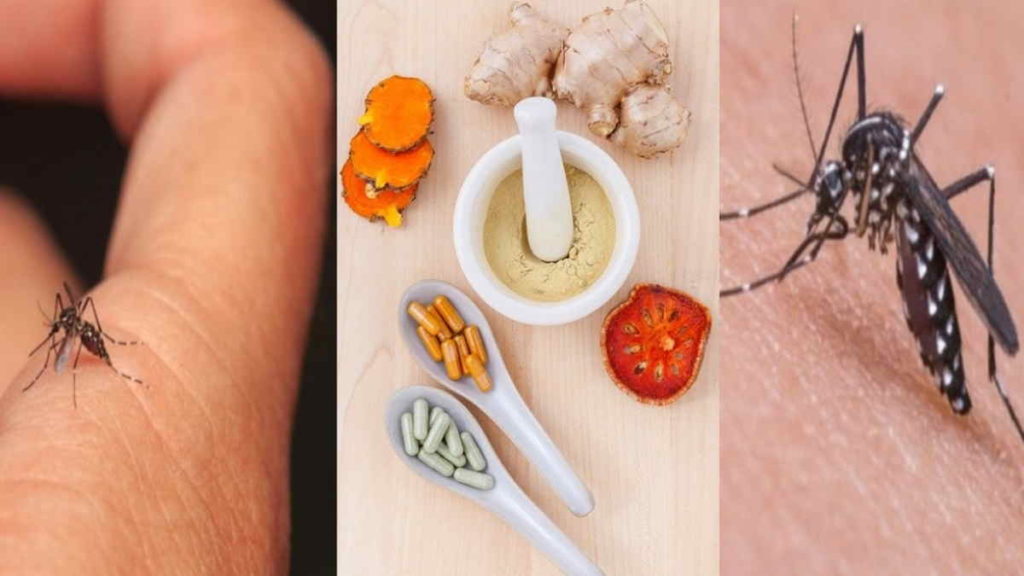 Obat Herbal Demam Berdarah yang Murah dan Bisa Buat Sendiri