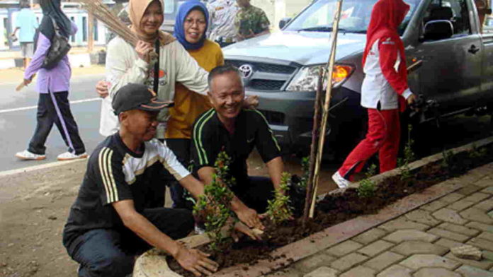 Pohon Trembesi