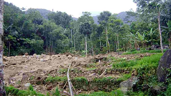 Padamulya