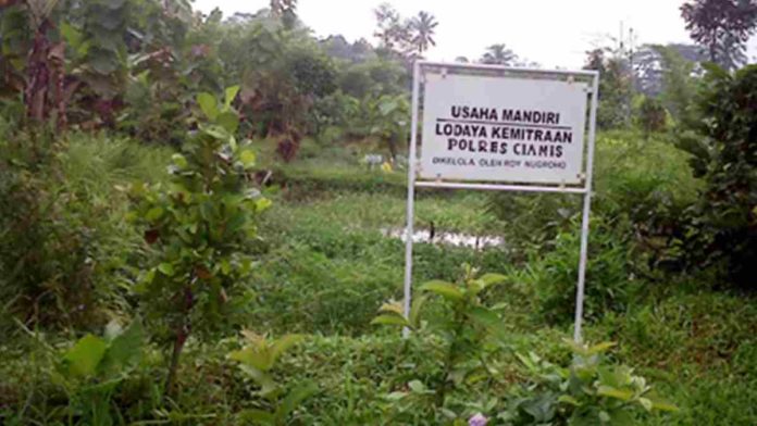 tanah pemkab