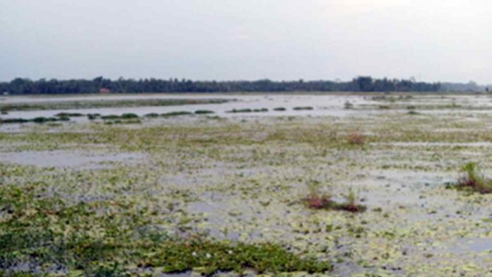 Rawa Cilalay