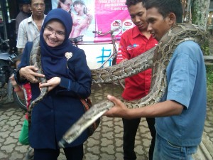 ular