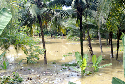 Sejumlah kolam ikan milik warga di Lingkungan Siluman Baru, Kel/Kec. Purwaharja, tergenang banjir akibat tingginya curah hujan, serta saluran air di sekitar lokasi tersebut tersumbat sampah. Poto diambil Selasa (19/3). Foto : Eva Latifah/HR.