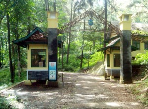 Kurangnya sarana dan prasarana di dalam kawasan Wana Wisata Situ Mustika menjadi salah satu penyebab sepinya pengunjung. Tampak pintu masuk ke lokasi tersebut tidak dijaga petugas. Foto : Pepep Riswanto Akbar/HR.