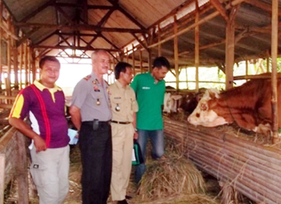 Camat Padaherang, Dede S Uyun, dan Kapolsek H. Juneadi saat meninjau lokasi kandang ternak yang diokelola Gapoktan BMS. Foto : Madlani/HR.