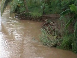 Tampak pada gambar akibat derasnya arus sungai menyebabkan abrasi di sepanjang bantaran Sungai Citanduy yang berada di Desa Kalipucang, Kecamatan Kalipucang, Kabupaten Pangandaran. Foto: Entang Saeful Rohman/HR