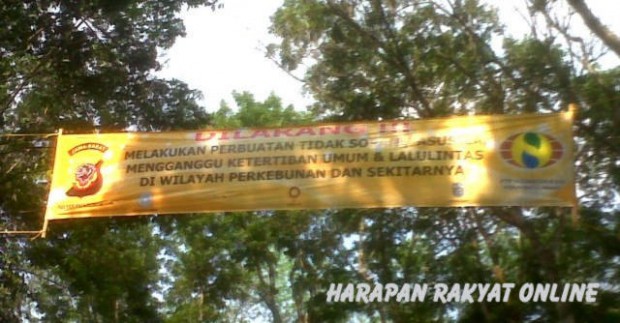 PTPN VIII Batulawang memasang spanduk larangan berbuat asusila, yang dipasang di bentangan jalan kawasan perkebunan. Foto: Hermanto/HR