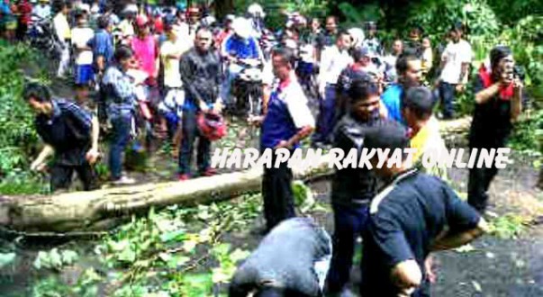 IMG02024-20141205-1024
