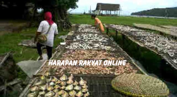 IMG02212-20141217-1415