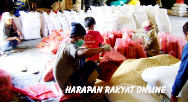 UPTD Balai benih padi