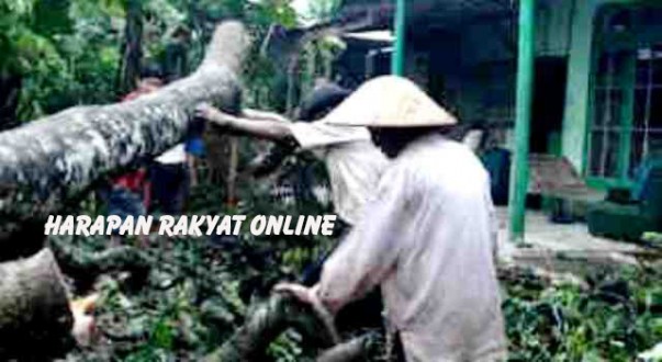 FOTO PETUNG 3