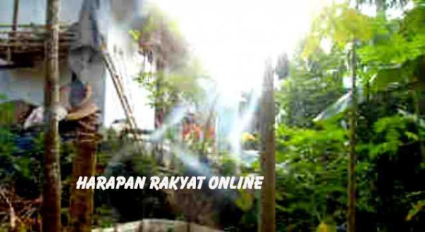 SDC12442