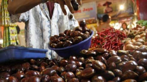 Di Pasar Ciamis, Harga Jengkol Meroket, Hampir 2 Kali Lipat dari Harga Ayam 