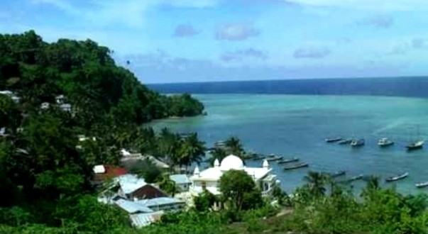 pulau run
