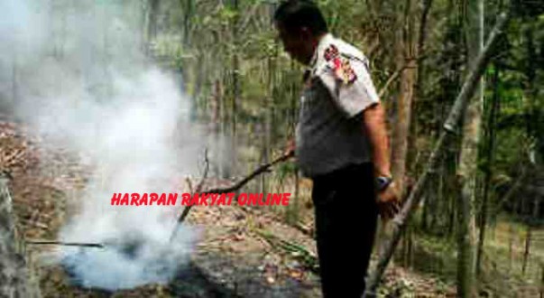 IMG01591-20151104-1142