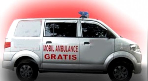 gartis-ambln