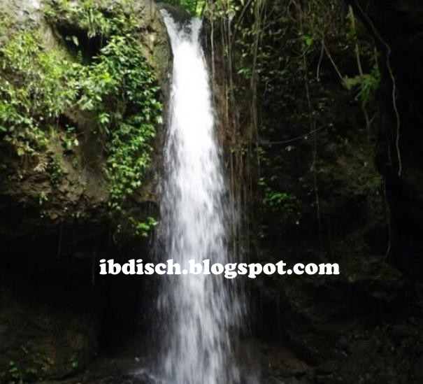 Foto: Istimewa/ibdisch.blogspot.com
