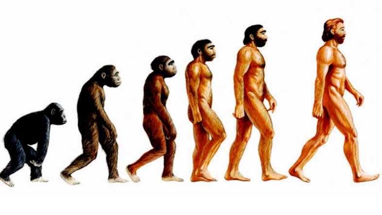 Al Qur'an Mentahkan Teori Darwin Tentang Evolusi Manusia