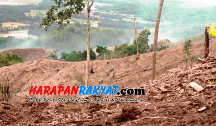 Kerusakan hutan produksi pasca dilakukan penebangan di kawasan Gunung Gegerbentang, Desa Sukahurip, Kecamatan Pamarican, Kabupaten Ciamis. Foto: Istimewa/SPP