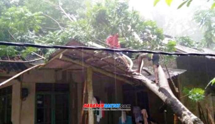 Hujan Deras dan Angin Kencang, Satu Rumah di Pangandaran Rusak Tertimpa Pohon