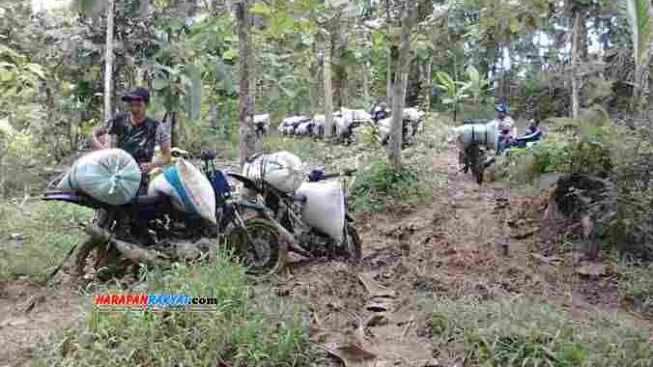 Petani Pohat Ciamis Inginkan Akses Jalan Pertanian Harapan