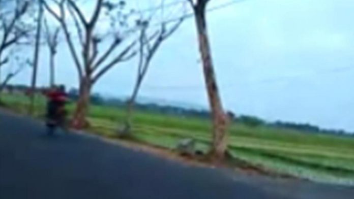 balapan liar