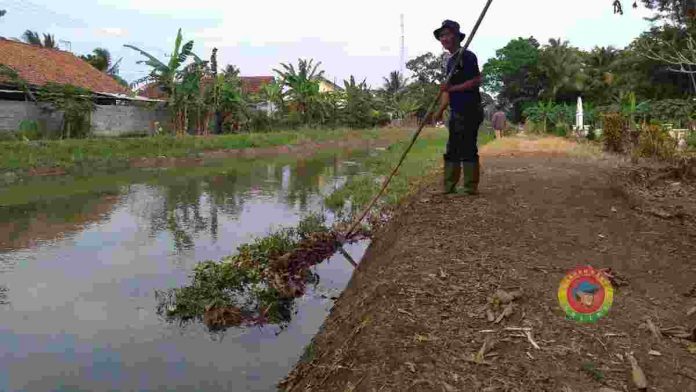 Buang Sampah