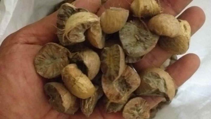 hasil bumi dari petani