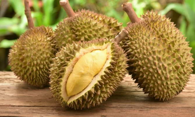 Manfaat Kulit Durian  yang Jarang Diketahui Harapan 