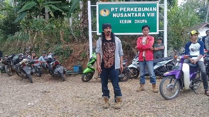 somasi PTPN VIII Cikupa