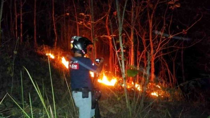 Hutan di Pangandaran terbakar