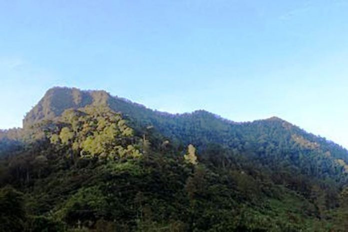 Ekosistem Gunung Sawal Rusak, Sadananya Ciamis Rawan Kekeringan