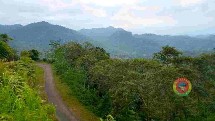 Gunung Singkup