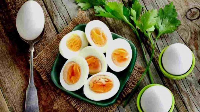 Mengonsumsi Telur Rebus