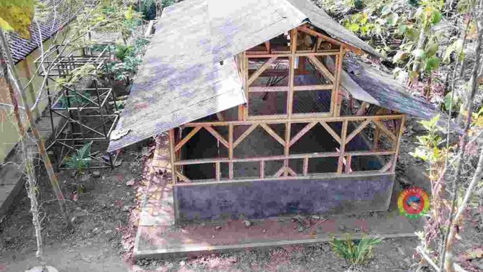 Pemotongan ternak