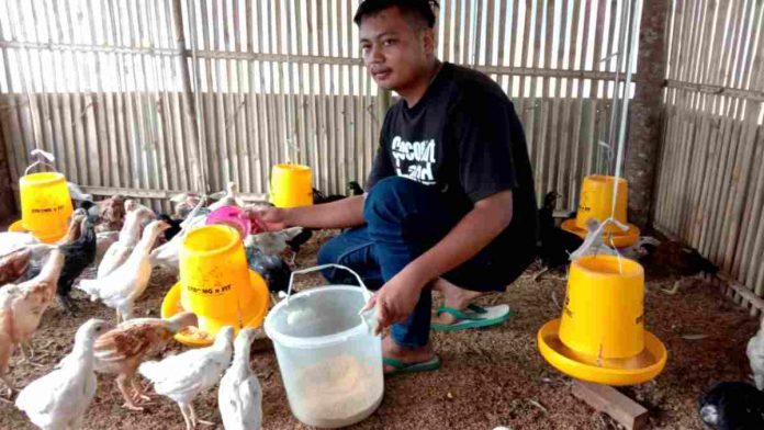 ayam KUB