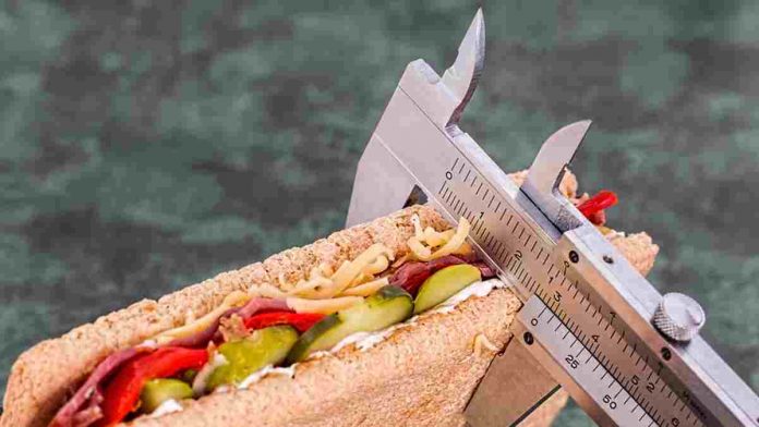 Ilustrasi makanan untuk diet
