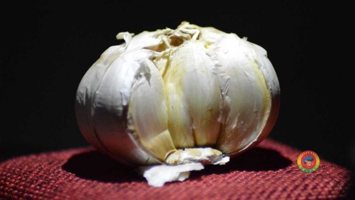 Manfaat Jus Bawang Putih
