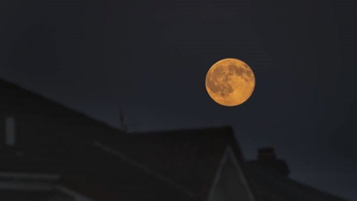 Harvest Moon