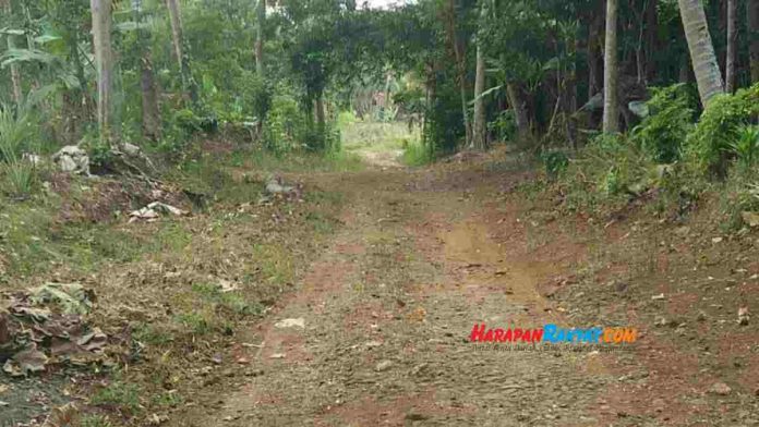 Jalan Penghubung di Ciamis