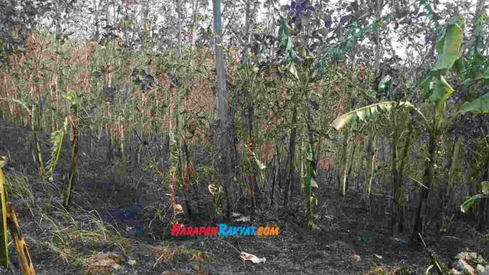 Wawalkot Banjar; Kekeringan di Kota Banjar Harus Ada Progres Penanganan