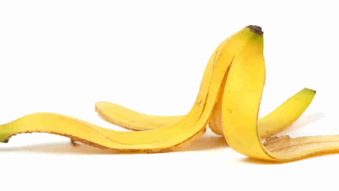 Manfaat Kulit Pisang untuk Kesehatan, Jangan Disia-siakan!