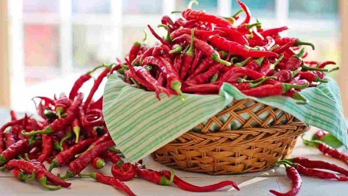 manfaat makanan pedas untuk diet