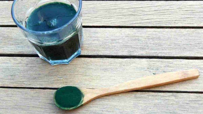 masker spirulina untuk wajah