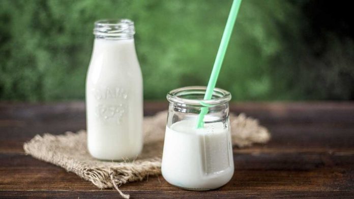 kebanyakan minum susu