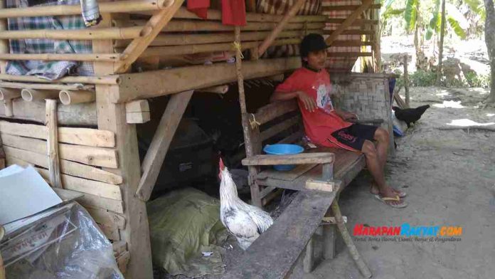 tinggal di kandang kambing