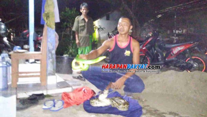 Asep, Si Penakluk Ular dari Kota Banjar