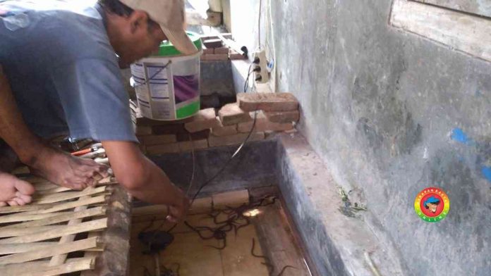 Budidaya Belut Kota Banjar